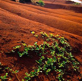 新作《幻想水浒传STAR LEAP》公布 免费手游